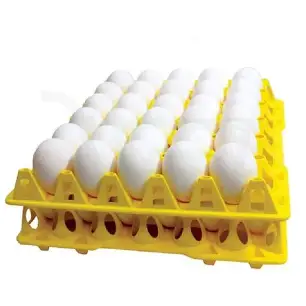 Egg Tray
