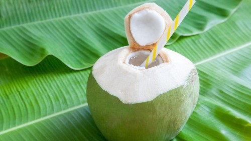 Dabh(Coconut water)