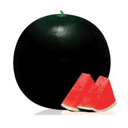 Water melon